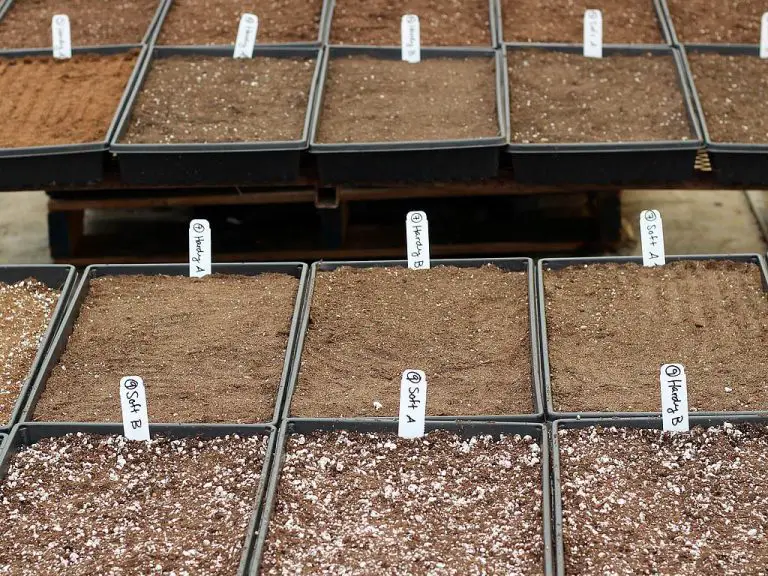 How to Test And Store Succulent Soil