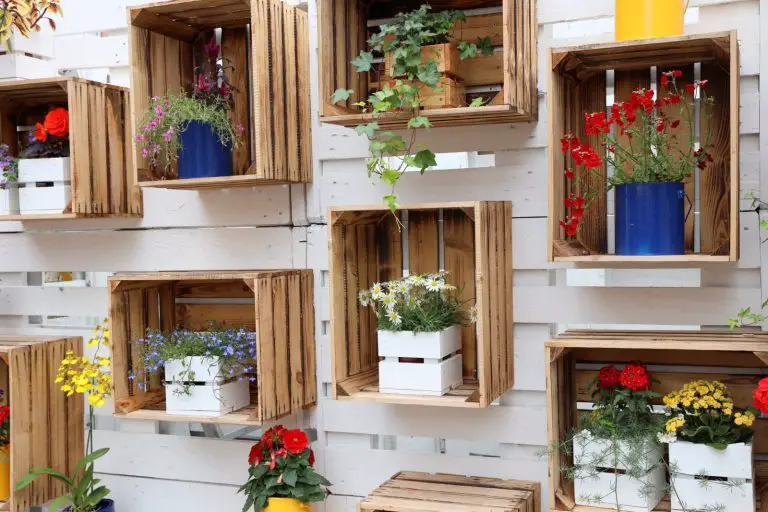30 Creative Succulent Decorating Ideas