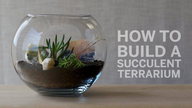 How to Make Succulents Terrarium