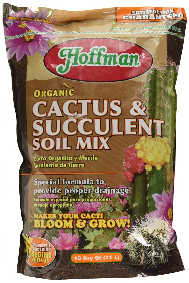 Is Succulent Soil the Same As Cactus Soil